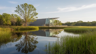 eddie v gray wetlands center