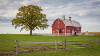 old macdonalds farm