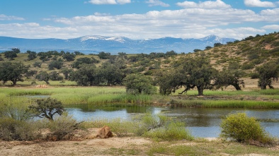 shadow creek ranch nature trail