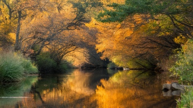 spring creek greenway